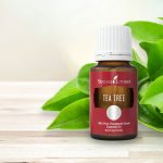 راهنمای روغن درخت چای : 5 استفاده از روغن درخت چای در مراقبت از پوست
