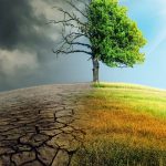 8 تأثیر تغییرات آب و هوا