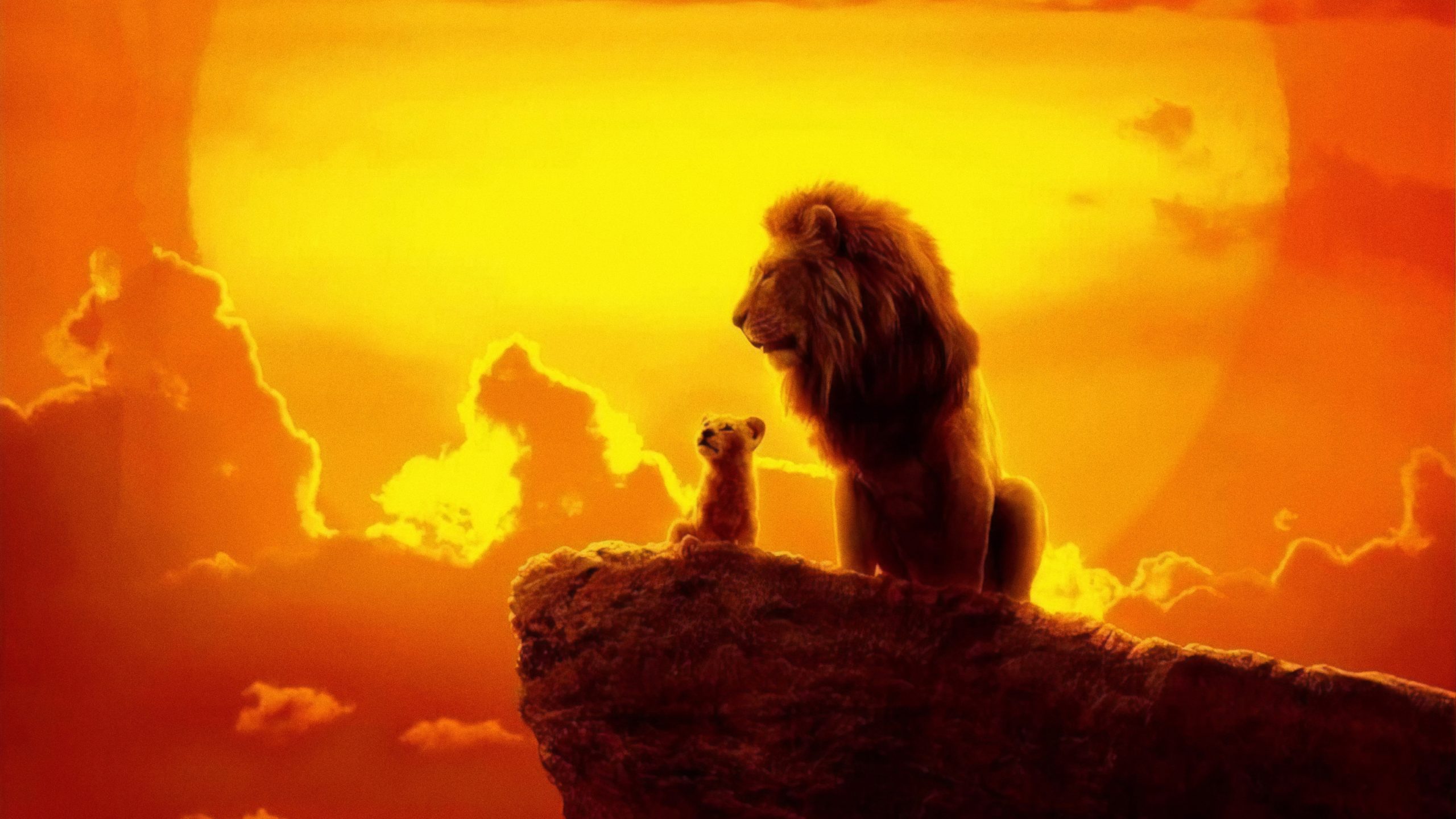 the lion king 2019 4k 8q scaled