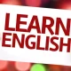 learn english in 50 days