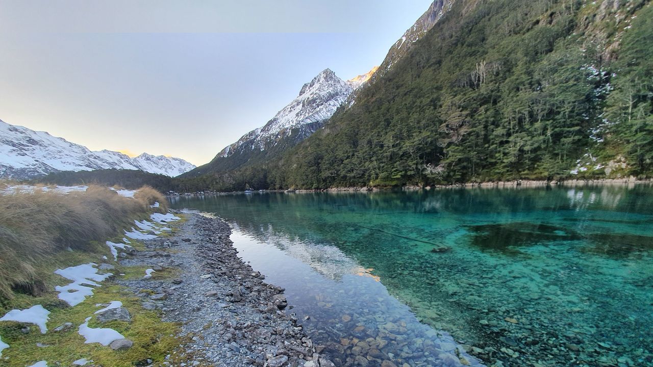 کشور نیوزلند