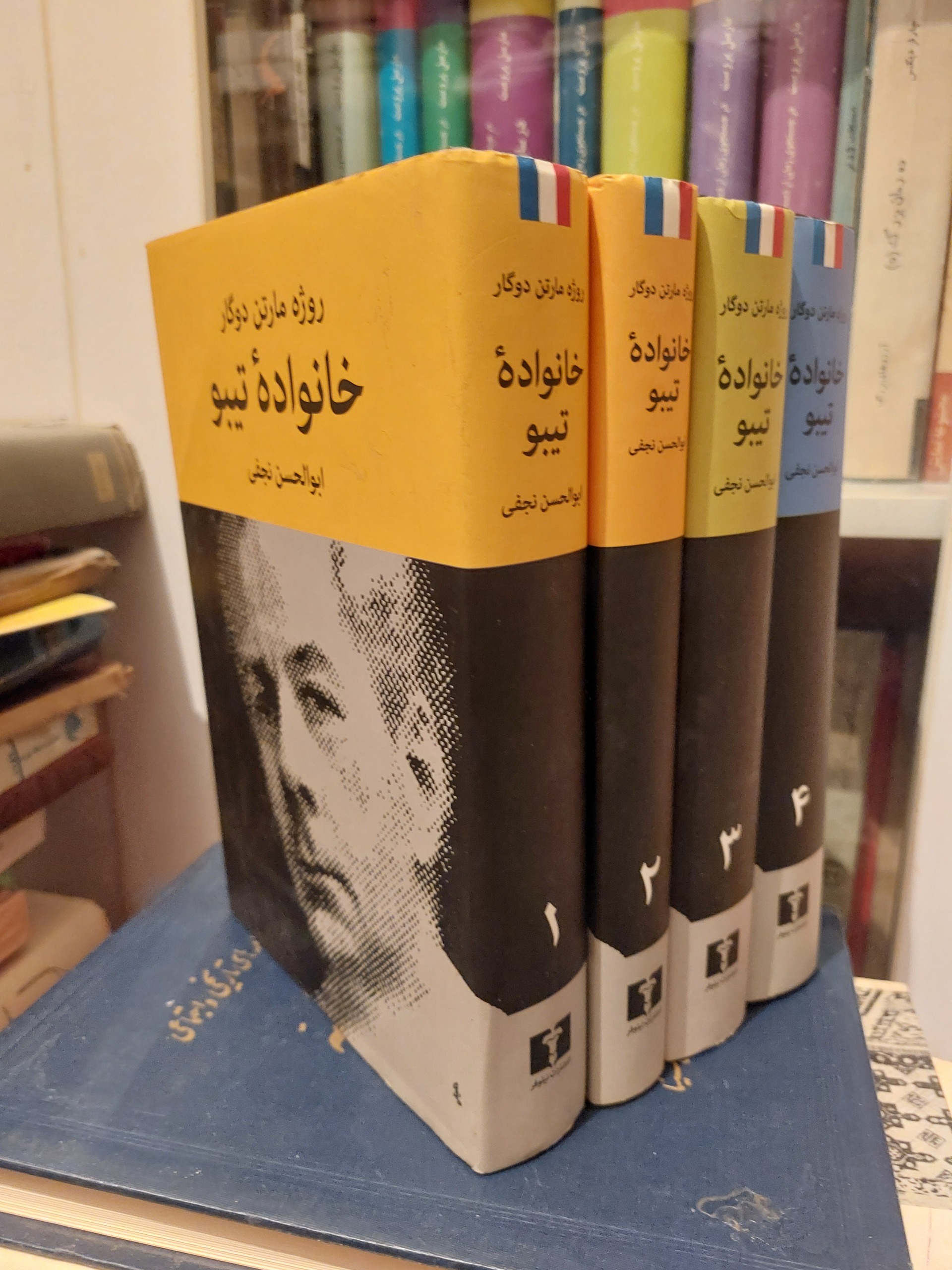 کتاب خانواده تیبو