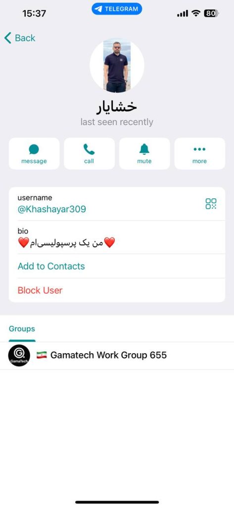 شرکت کلاه برداری gamatech