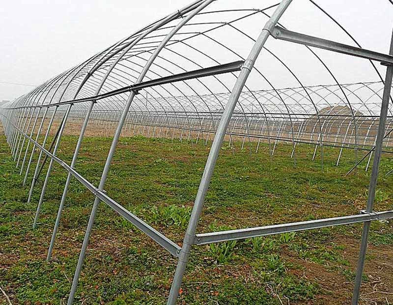 لوله گلخانه ای سپنتا