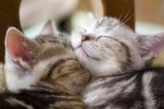 38686360 e256 4935 a8be 15a959f967a6