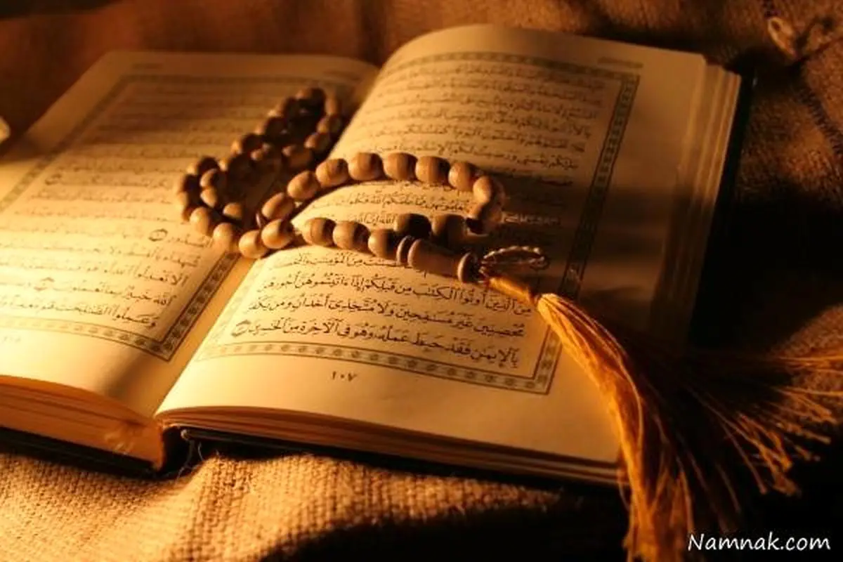 5fe844cc 6c56 4583 ab97 a281f5a13e4d