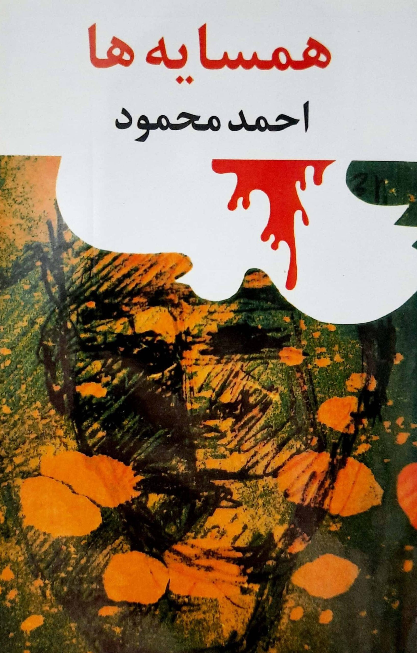 معرفی کتاب همسایه ها رمانی که جنوب ایران رو با دردهایش زنده کرد 1 کتاب همسایه ها