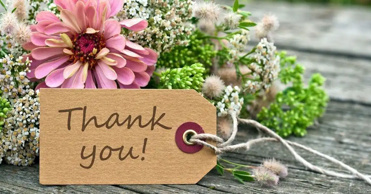 راهنمای انتخاب گل های مناسب برای تشکر و قدردانی 1 راهنمای انتخاب گل های مناسب برای تشکر و قدردانی
